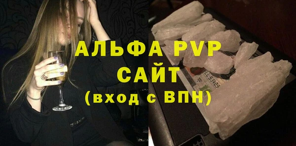 прущие грибы Жердевка