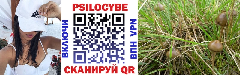 купить  цена  ссылка на мегу tor  Галлюциногенные грибы MAGIC MUSHROOMS  Лиски 
